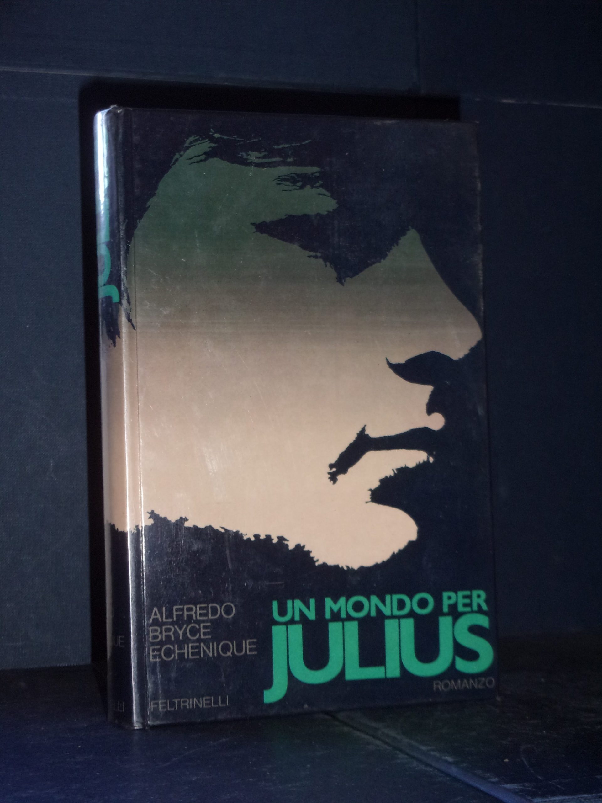 Alfredo Bryce Echenique Un mondo per Julius I Narratori di