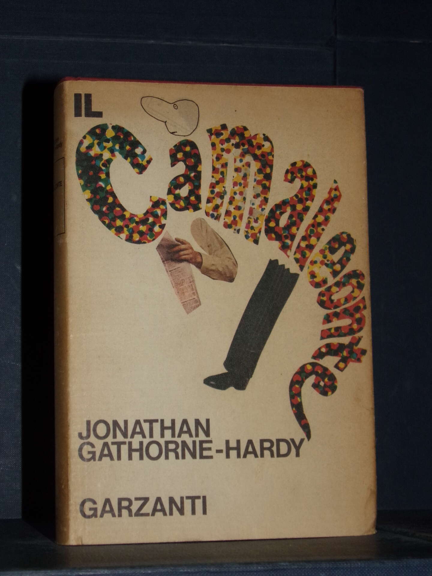 Jonathan GathorneHardy Il camaleonte Romanzi Moderni Garzanti