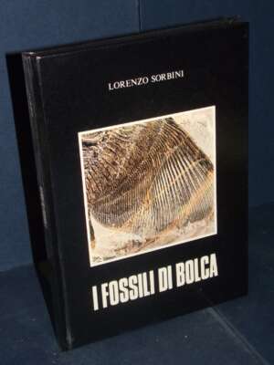 Lorenzo Sorbini – I fossili di Bolca – Verona – 1989 - Archeologia / Civiltà antiche - Libreria del novecento