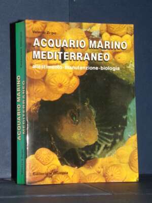 Valerio Zupo – Acquario marino mediterraneo – Olimpia – Prima ed., 1985 - Manualistica varia / Medicina - Libreria del novec…